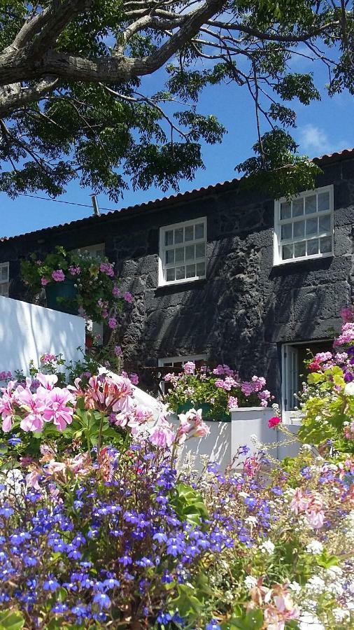 منزل الضيف Manadas  في Casa Do Ze - Al المظهر الخارجي الصورة